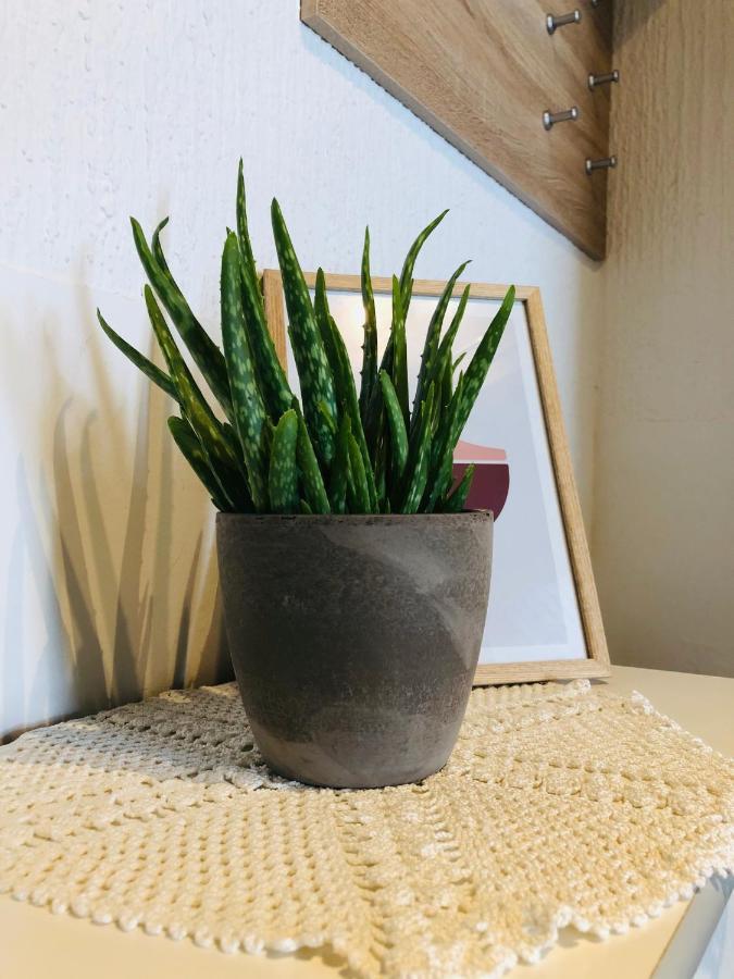 Apartma Domenika Ptuj Eksteriør bilde